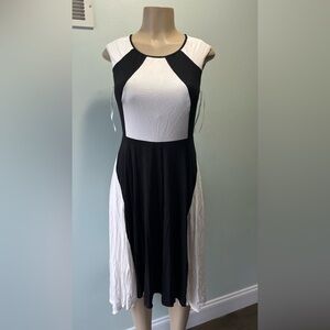 Ann Taylor Black and White Midi Dress